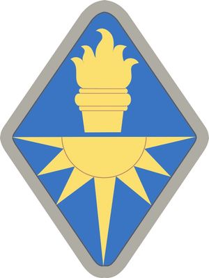 USAICoE 전투 근무 식별 배지