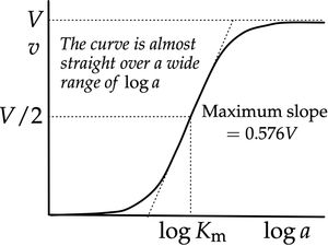 미카엘리스-멘텐 데이터의 반대수 플롯