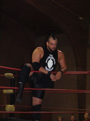 2008년의 바우어