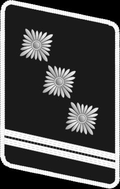 NSKK 상급돌격지도자 계급장