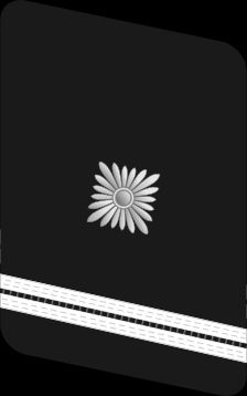 국가사회주의 자동차군단(NSKK) 금속 깃장식