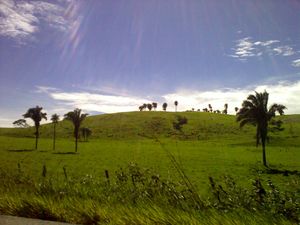 바리나스 평원의 풍경