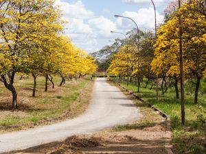 우넬레스 식물원