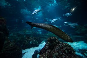 바르셀로나 수족관 내부 모습