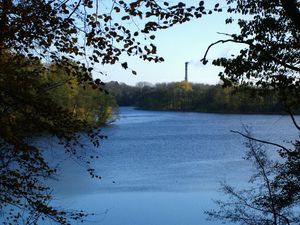 너도밤나무 숲에서 바라본 라둔 호수