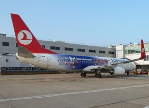 터키 항공의 보잉 737-800에 대회의 이미지 캐릭터를 래핑한 래핑 비행기