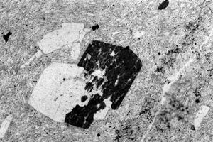 버지니아주 블루 리지 산맥의 중기 에오세에서 채취한 반상-세립질 산성암의 현미경 사진. 사장석 반정(흰색)과 각섬석 반정(어두운색, 사장석과 얽혀 있음)이 유동 구조를 보이는 가는 사장석 판의 기질에 놓여 있다.