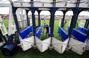 우드바인 경마장의 출발대, 뒷면.