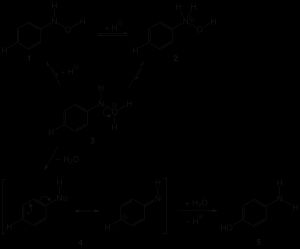 밤베르거 자리옮김 메커니즘