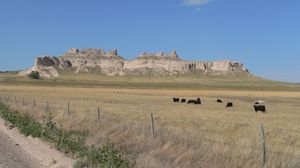 Cliffs and pinnacles in distance; grassland with cattle in foreground