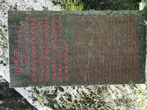 푸딩 타이무산에서 백차의 조상인 럭쉐야를 설명하는 표지판