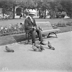 1921년 핀란드 헬싱키의 에스플라나디에서 비둘기에게 먹이를 주는 남성