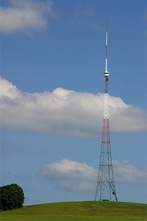 베로뮌스터 외곽의 블로젠베르크투름