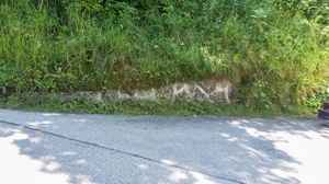 2018년, 베르크호프 정문으로 이어지던 진입로 왼쪽 벽의 잔해