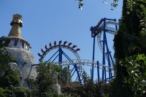 설원에서 펼쳐지는 황금 날개