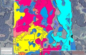 Callaway WMA 지역의 토양