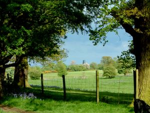 웨스트우드와 블랙 밀