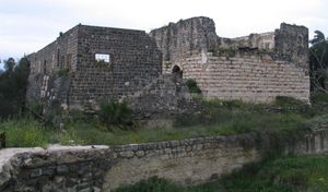 해자와 내부 탑이 있는 십자군 시대의 성