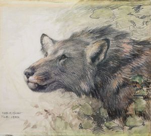 찰스 R. 나이트의 복원, 1902