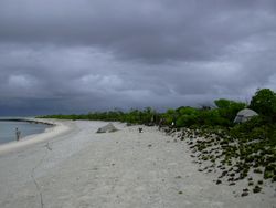시빌라 섬의 석호 해안선, 산호 잔해 해변과 나우파카 관목지의 가장자리.