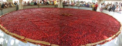 m}}의 딸기 파이