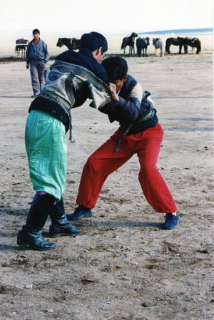 2001년 10월 내몽골 자치구의 십대 레슬러들