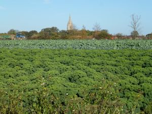 스윈즈헤드, 보스턴 구의 많은 마을 중 하나