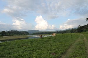 투마폰의 보아크 강
