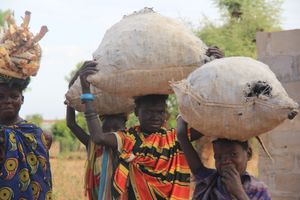 가정용 숯을 모으고 수집하는 여성들