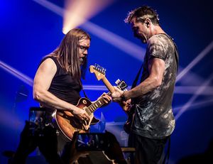 2016년 공연 중인 부시