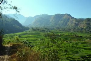 계단식 논은 부기-마카사르 지역의 농업 풍경 속에 자리 잡고 있다