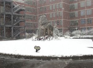 눈이 내린 후의 베이징 사범대 부속 제2고등학교 칭허 캠퍼스