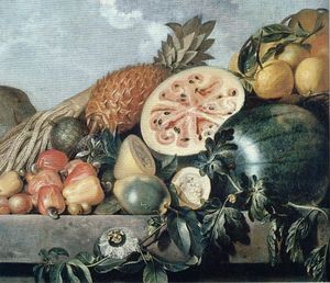 알베르트 에크하우트의 그림에 나타난 브라질 과일