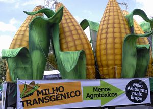 브라질리아, 2007: 시위자들이 유전자 변형 옥수수로부터의 해방을 외치고 있다.