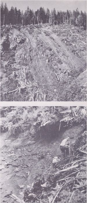 사면 붕괴는 알래스카 해안에서 발생한다.