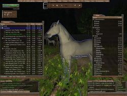 2012년 뷔름 온라인의 사용자 인터페이스 예시