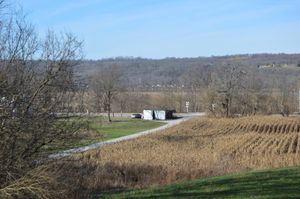 웹과 포어가 최초의 백색 버얼리 씨앗을 얻은 켄터키주 브래컨군의 조지 바클리 농장 밭