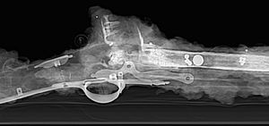 LAMP 고고학자들이 1782년 12월 침몰한 미국 독립 전쟁 시대 난파선에서 수습한 브라운 베스 머스킷의 X선 사진. 1769년형 숏 랜드 패턴으로 추정되며, 벅 앤 볼이 장전되어 있다.