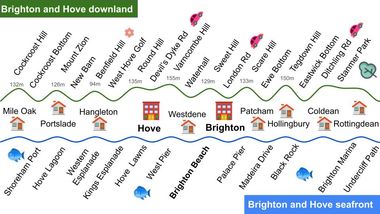 브라이턴 앤 호브, 사우스 다운스 국립공원의 다운랜드 및 해안 도시