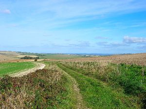 Falmer Hill의 마구간 길