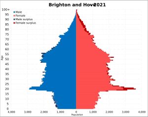 2021년 브라이턴 앤 호브 인구 피라미드