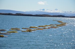 Thorverk는 지열 에너지를 이용하여 해초를 건조한다.