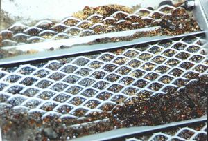 사금 채취기에서 블랙 샌드와 금, 알래스카 블루 리본 광산