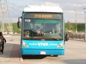 리치먼드힐 터미널의 비바 퍼플 버스 정류장