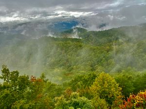 푸트힐 파크웨이의 "미싱 링크"에서 바라본 풍경