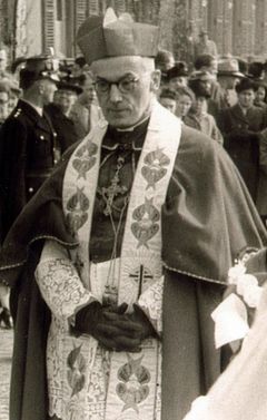 요제프 프링스 추기경은 제3차 회기 동안 문서를 취소하려는 로마 교황청 내의 세력에 반대하는 항의 서한을 조직했다.