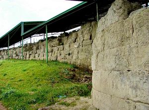 히포니온의 성벽