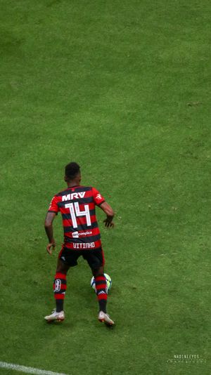 2018년 플라멩구의 비치뉴