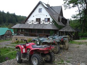 프시스웁}}의 바