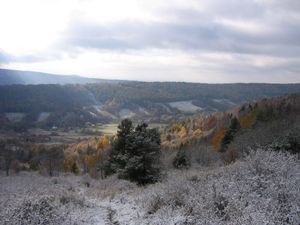 우스트시키 돌네 {{lang의 모습